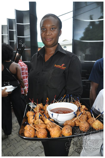 macfarlane_band_launch_2012-011