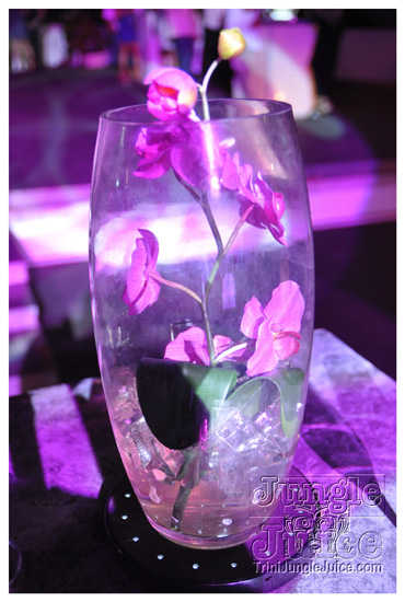 nuvo_pink_launch_apr2-004