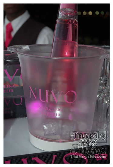 nuvo_pink_launch_apr2-018