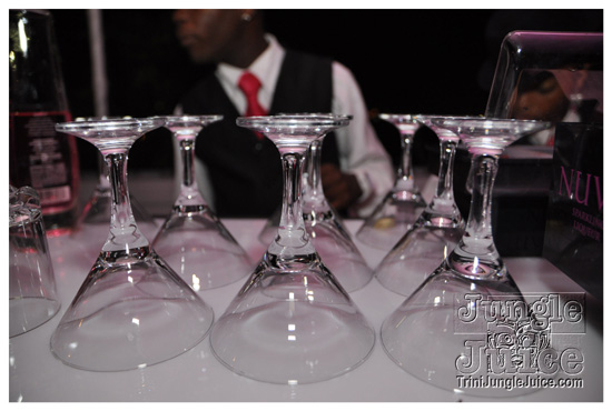 nuvo_pink_launch_apr2-041