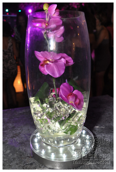 nuvo_pink_launch_apr2-128