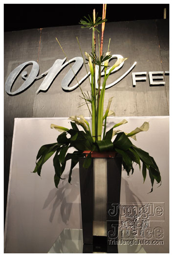 one_fete_2011_part1-002