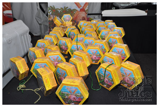 one_fete_2011_part1-046