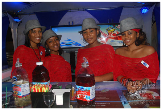 one_fete_2011_part2-021