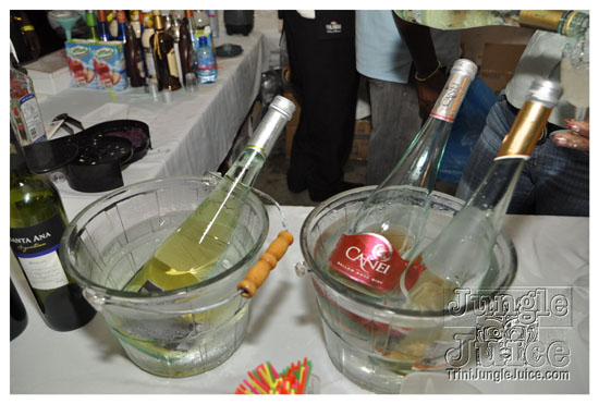 rhythms_of_carnival_2011-087