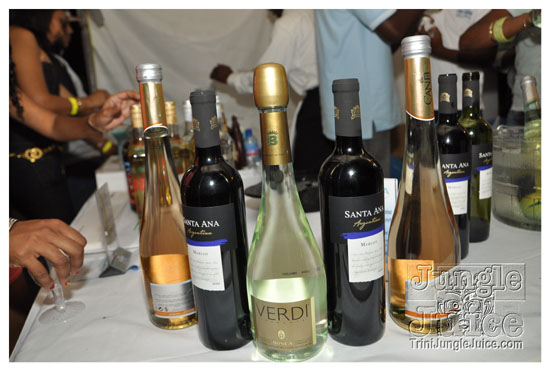 rhythms_of_carnival_2011-088