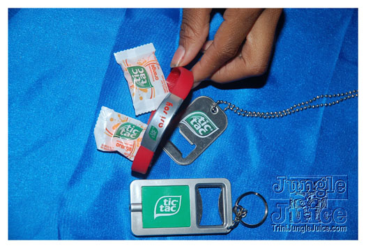 sahara_carnival_cooler_fete_2011-015