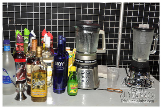 sahara_carnival_cooler_fete_2011-050