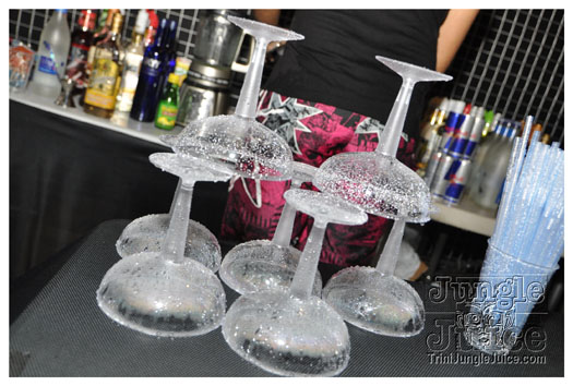 sahara_carnival_cooler_fete_2011-051