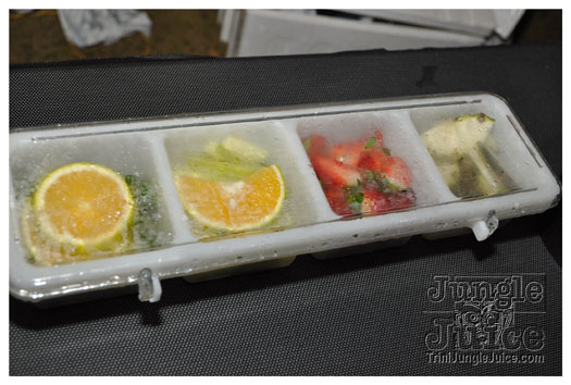 sahara_carnival_cooler_fete_2011-052