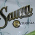 sahara_carnival_cooler_fete_2011-007