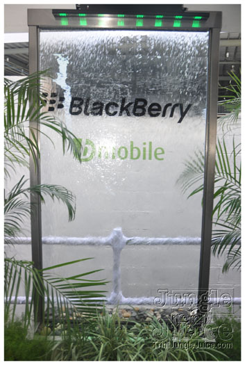 saute_trinbago_2011-059