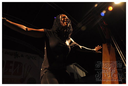 stumped_2011_jan22-047