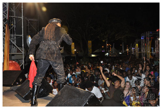 stumped_2011_jan22-052