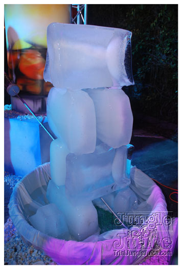 tribe_ice_jan8_2011-027