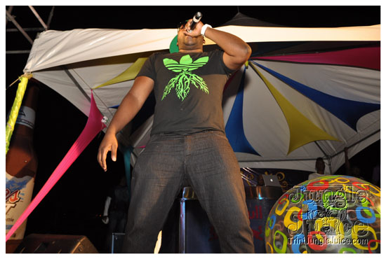 we_fete_2011_feb19-020