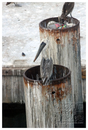 wine_on_water_nov5-056