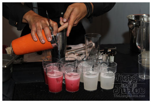 shipwrecked_all_inclusive_2011-076