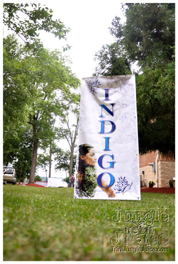 indigo_2011_jun26_pt1-001