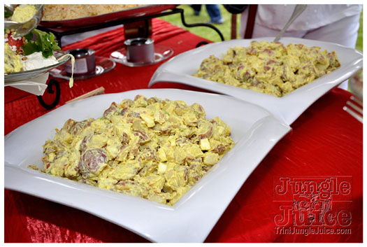 indigo_2011_jun26_pt1-036