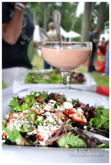 indigo_2011_jun26_pt1-037