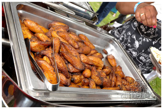 indigo_2011_jun26_pt1-038