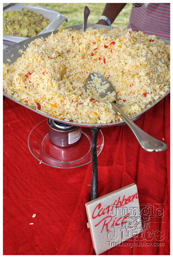 indigo_2011_jun26_pt1-043