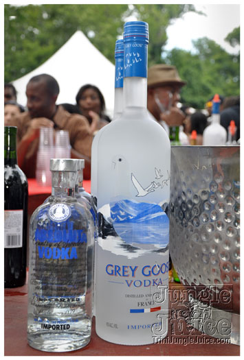 indigo_2011_jun26_pt1-070