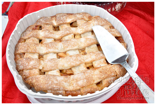 indigo_2011_jun26_pt1-078