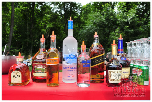 indigo_2011_jun26_pt2-021