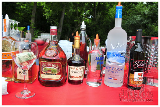 indigo_2011_jun26_pt2-022