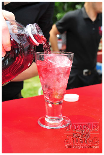 indigo_2011_jun26_pt2-024