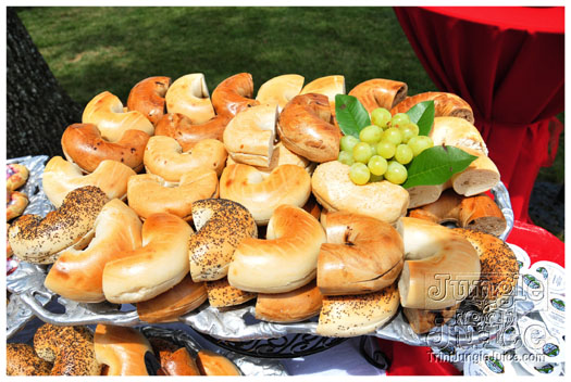 indigo_2011_jun26_pt2-026