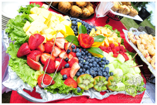 indigo_2011_jun26_pt2-027