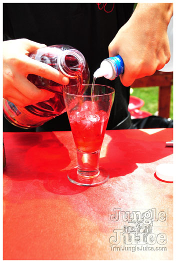 indigo_2011_jun26_pt2-031