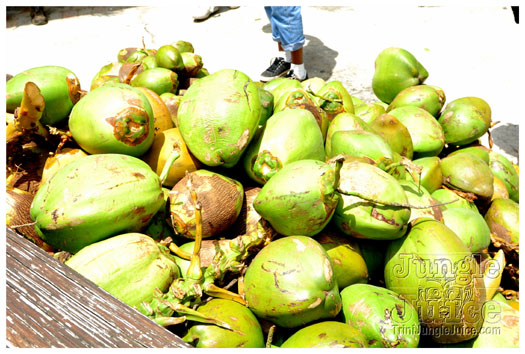 booze_cruise_2012-031