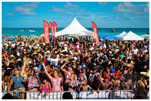 beach_fest_2012-019