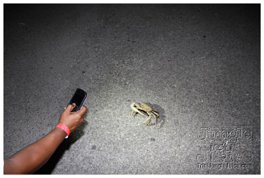 barrington_levy_live_may4-029