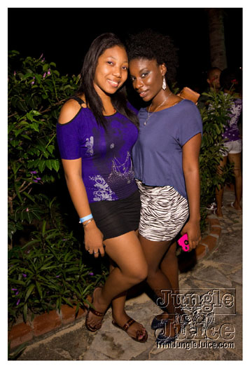 permit_fete_2012_aug10-031