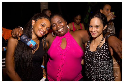 permit_fete_2012_aug10-057