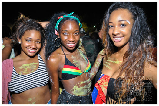 houston_caribfest_jouvert_2012_jul6-133