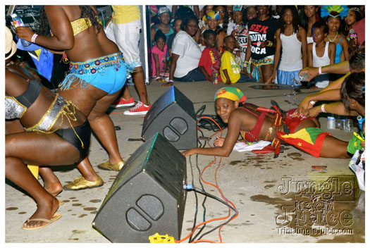 houston_parade_jul8_2012_pt2-068