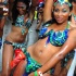 bacchanal_ja_roadmarch_2012_pt3-149