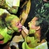 bacchanal_jouvert_2012_pt1-207
