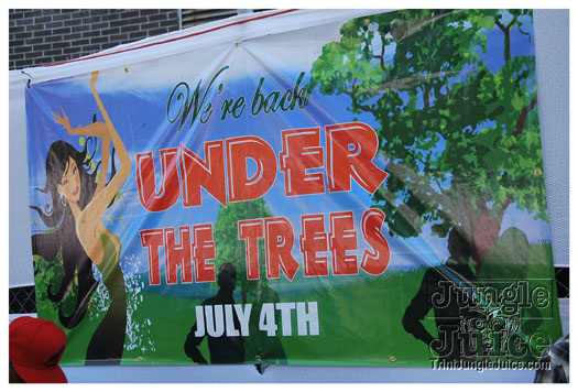 under_the_trees_jul4-017