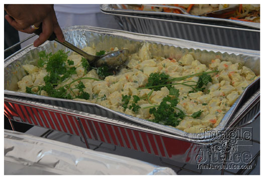 under_the_trees_jul4-025