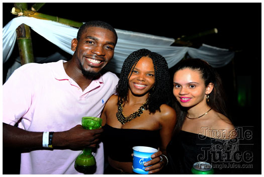 aqua_di_luna_dec2012-062