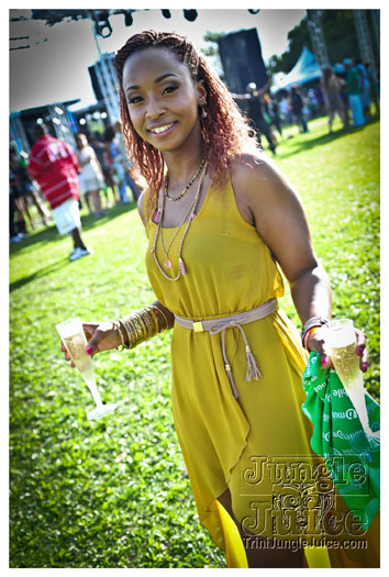 beach_house_2012_part1-006