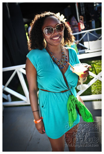 beach_house_2012_part1-009