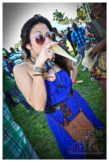 beach_house_2012_part1-014